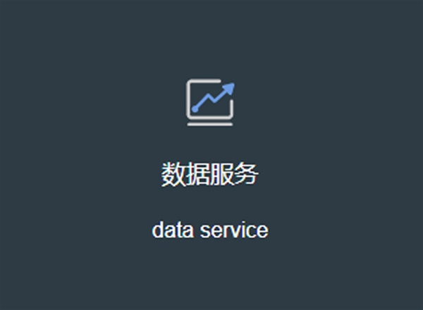 數(shù)據(jù)服務(wù)